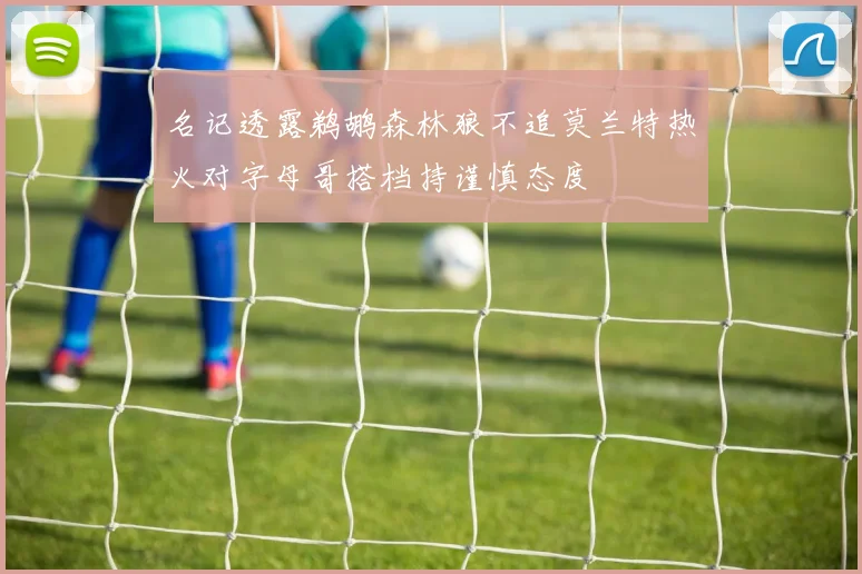 名记透露鹈鹕森林狼不追莫兰特热火对字母哥搭档持谨慎态度